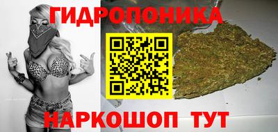 прущие крисы Лесосибирск
