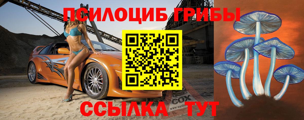 Псилоцибиновые грибы Cubensis Хабаровск