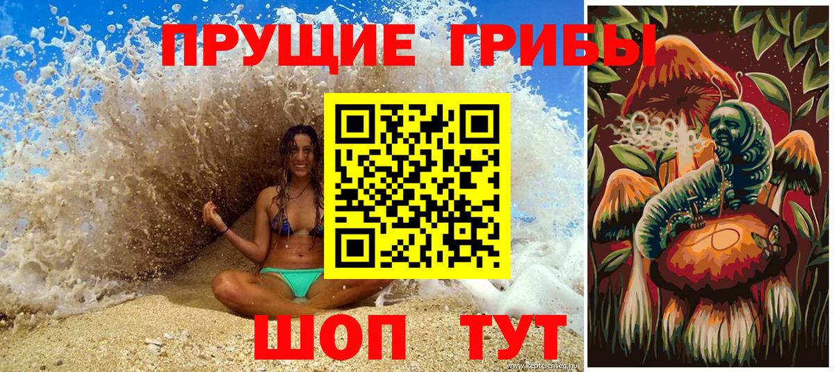 Хабаровск  Псилоцибиновые грибы Psilocybe  Псилоцибиновые грибы прущие грибы  Вход с VPN 