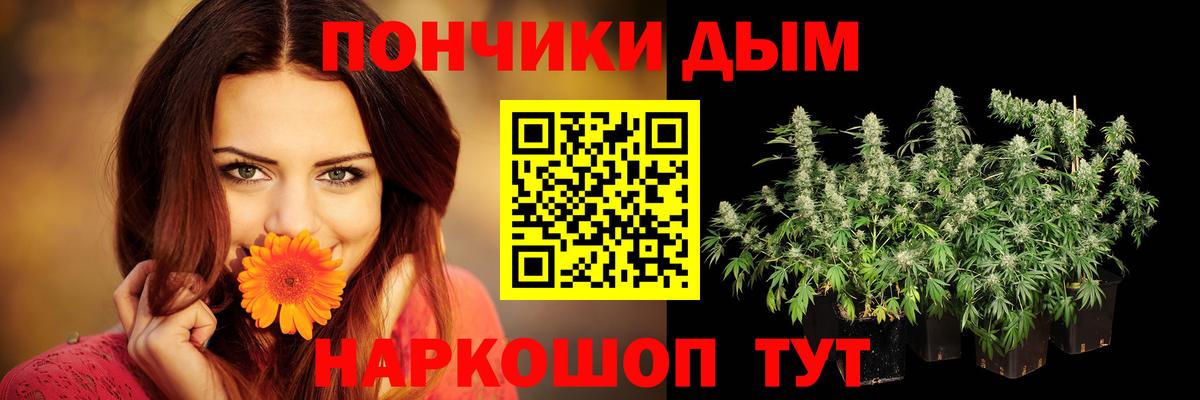 Канабис планчик Хабаровск